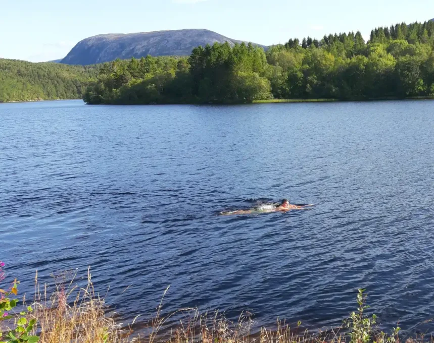 Swimming Gold: The Inspiring Journeys of Professional Competitive Swimmers 7 Stefan Swimming Lake